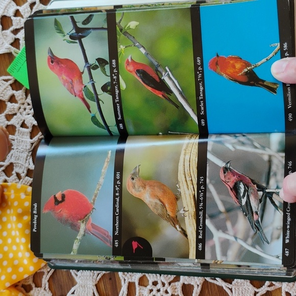 National Audubon Society Field Guide to North American Birds : Eastern Region EC - Picture 13 of 16